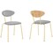 Armen Living Neo Modern Gray Velvet and Gold Metal Leg Dining Room Chairs, PK2 LCNESIGLGRY - alternate 1
